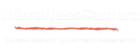 Mirrorless Camera Logo
