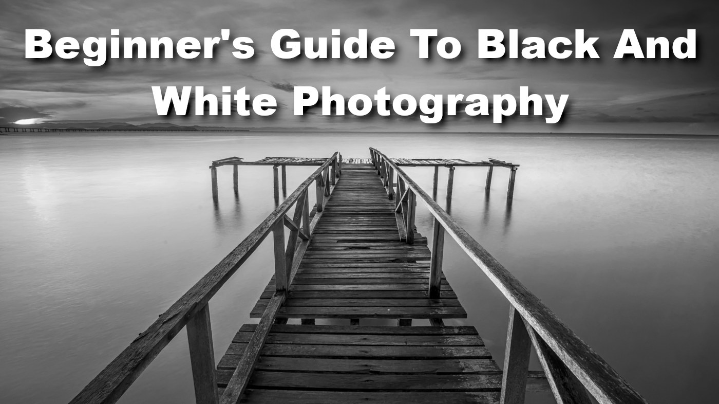 beginner-s-guide-to-black-and-white-photography-mirrorless-camera